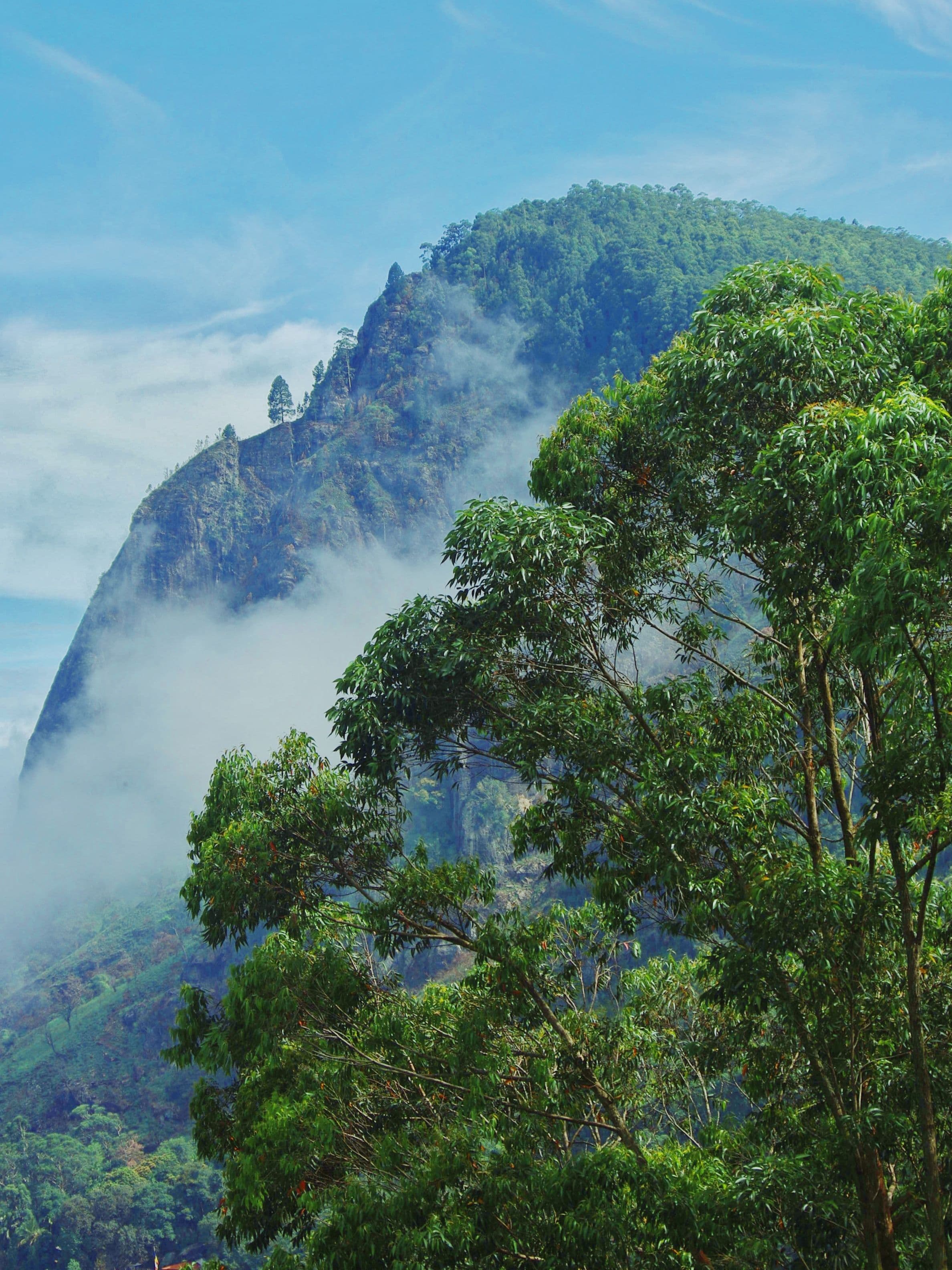 Explore the Island