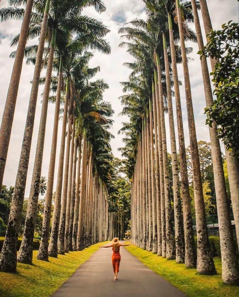 Peradeniya Botanical Garden